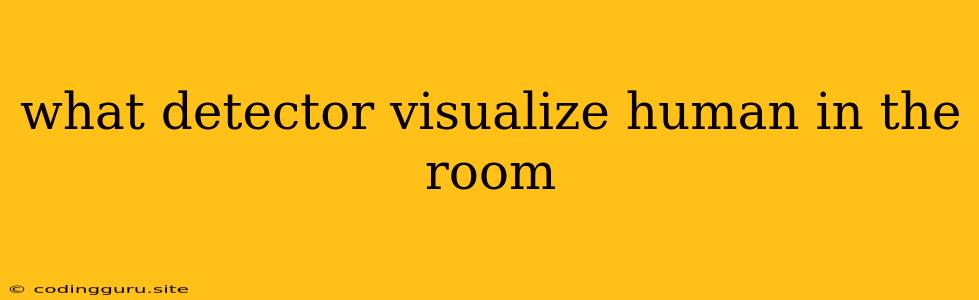 What Detector Visualize Human In The Room