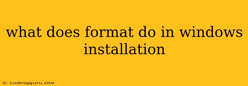 What Does Format Do In Windows Installation