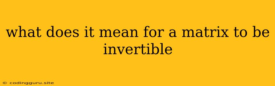 What Does It Mean For A Matrix To Be Invertible