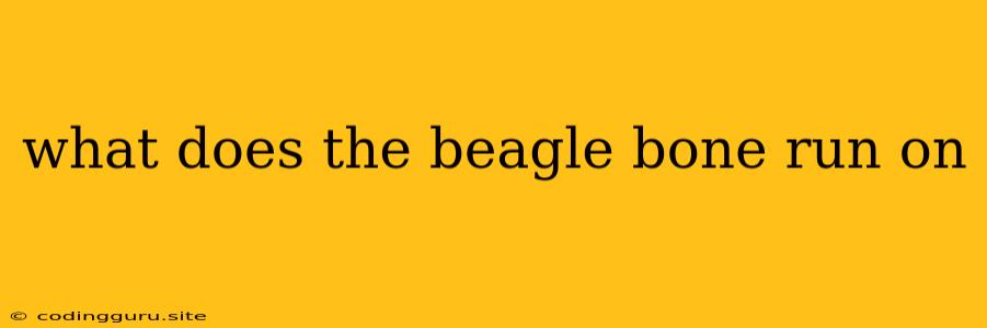 What Does The Beagle Bone Run On