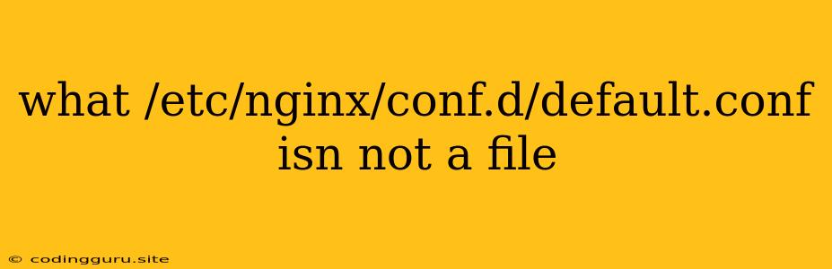 What /etc/nginx/conf.d/default.conf Isn Not A File