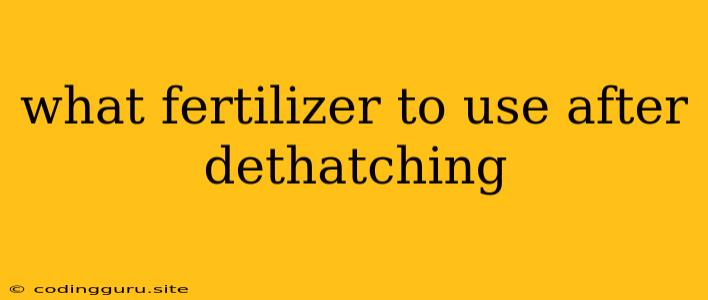 What Fertilizer To Use After Dethatching