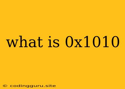 What Is 0x1010