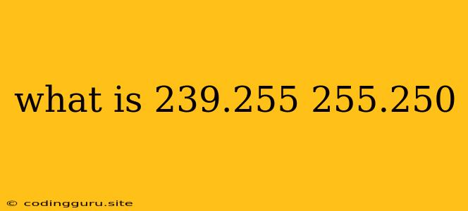 What Is 239.255 255.250