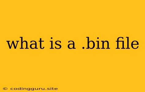 What Is A .bin File