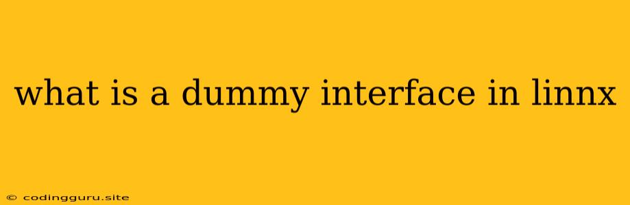 What Is A Dummy Interface In Linnx