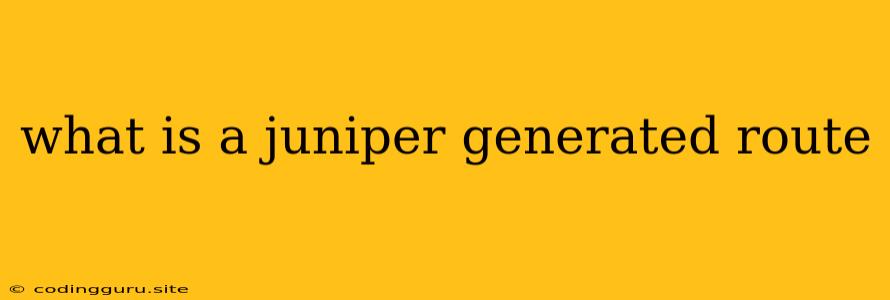 What Is A Juniper Generated Route