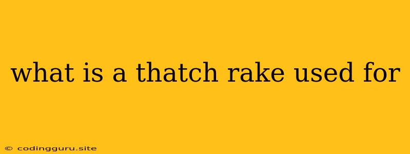 What Is A Thatch Rake Used For