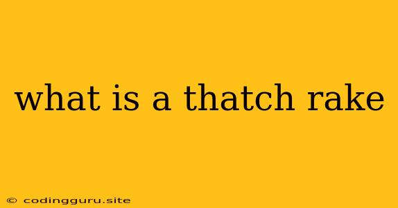 What Is A Thatch Rake