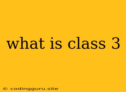 What Is Class 3