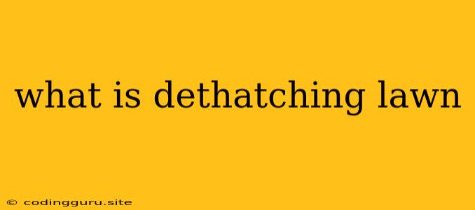 What Is Dethatching Lawn