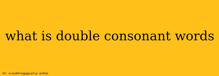 What Is Double Consonant Words