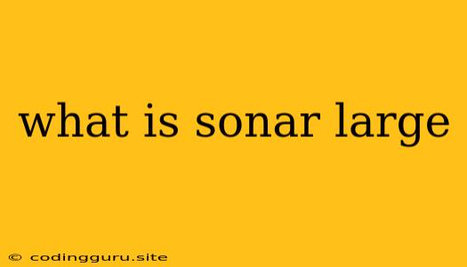 What Is Sonar Large