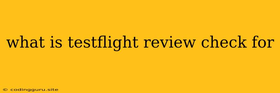 What Is Testflight Review Check For