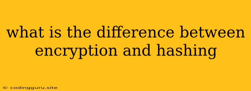 What Is The Difference Between Encryption And Hashing