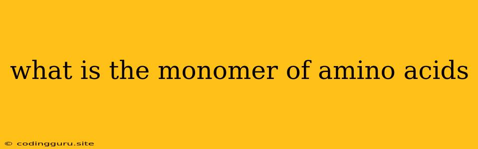 What Is The Monomer Of Amino Acids