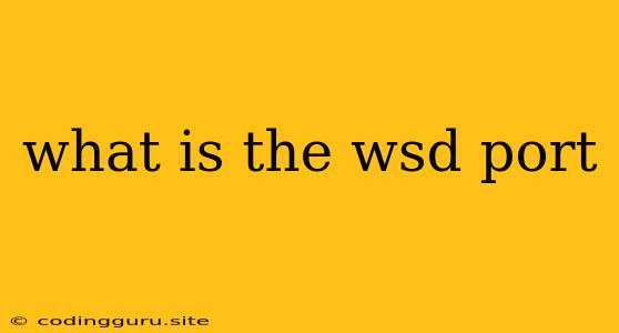 What Is The Wsd Port