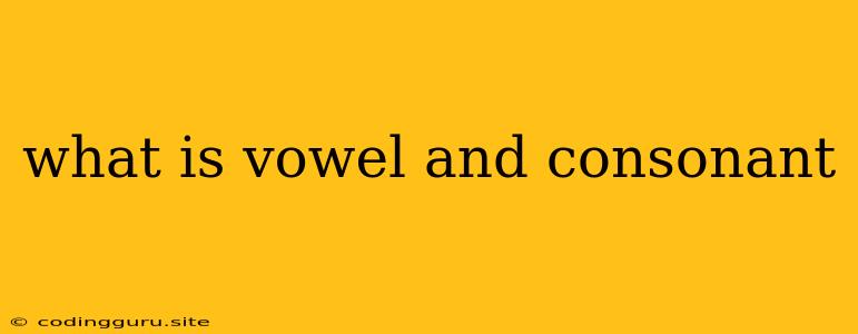 What Is Vowel And Consonant