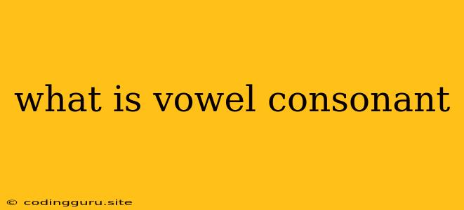 What Is Vowel Consonant