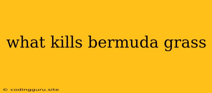 What Kills Bermuda Grass