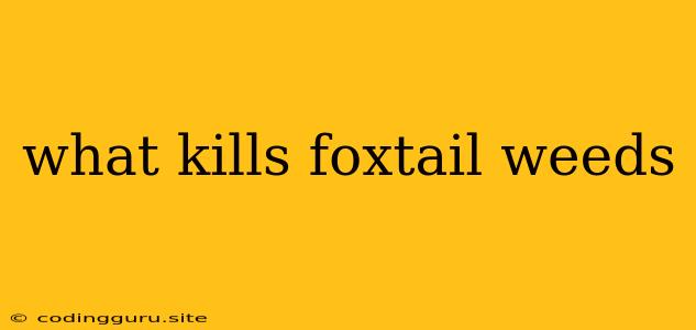 What Kills Foxtail Weeds