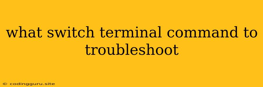 What Switch Terminal Command To Troubleshoot