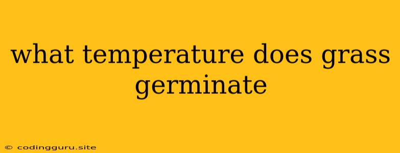 What Temperature Does Grass Germinate