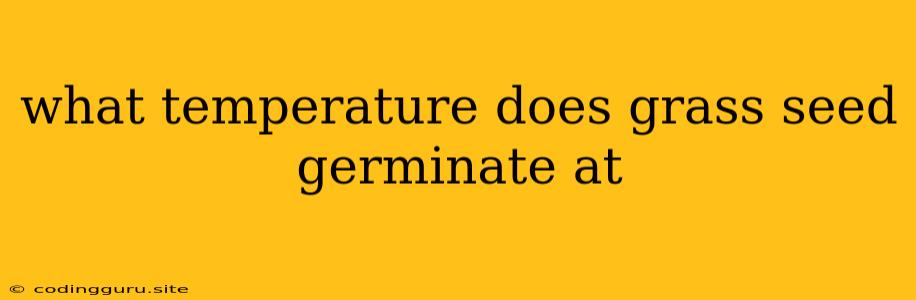 What Temperature Does Grass Seed Germinate At