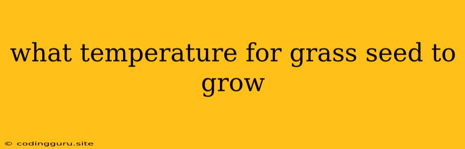 What Temperature For Grass Seed To Grow