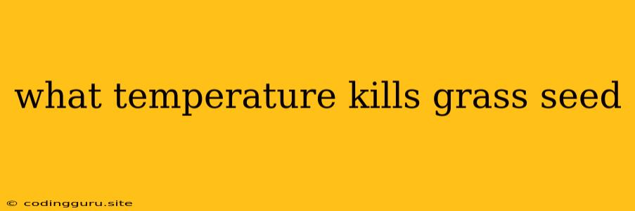 What Temperature Kills Grass Seed