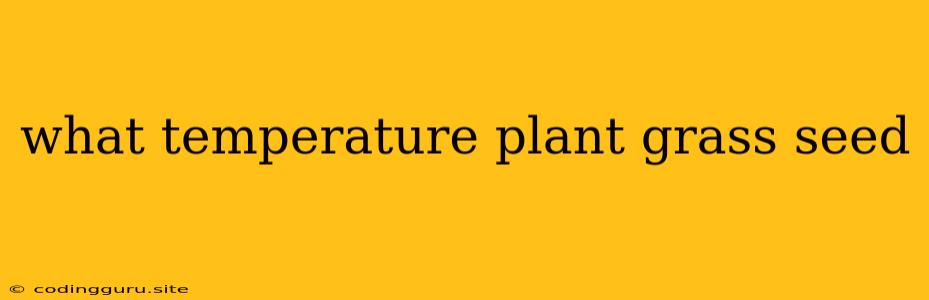 What Temperature Plant Grass Seed