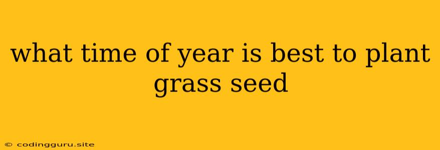 What Time Of Year Is Best To Plant Grass Seed