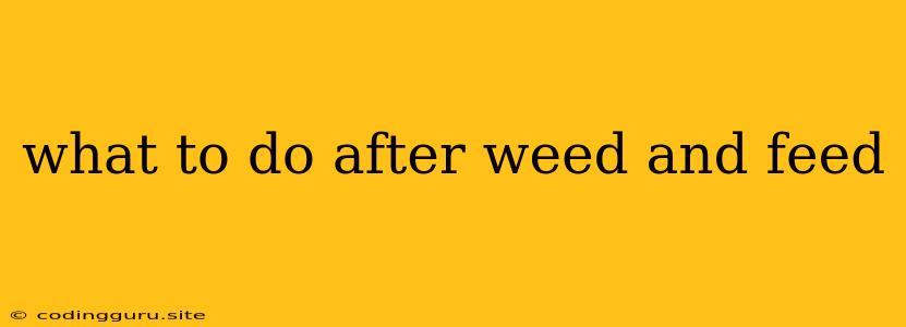 What To Do After Weed And Feed