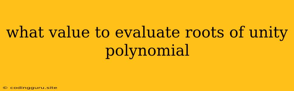 What Value To Evaluate Roots Of Unity Polynomial