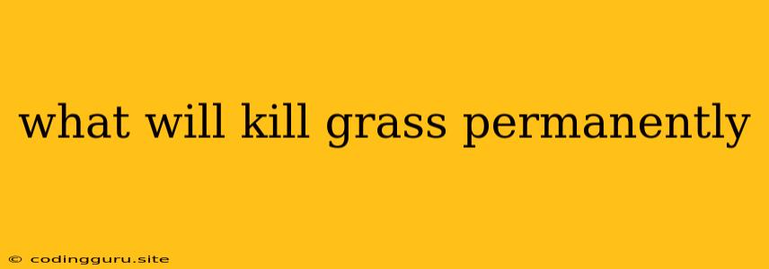 What Will Kill Grass Permanently