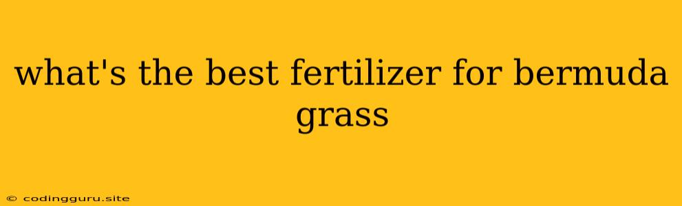 What's The Best Fertilizer For Bermuda Grass