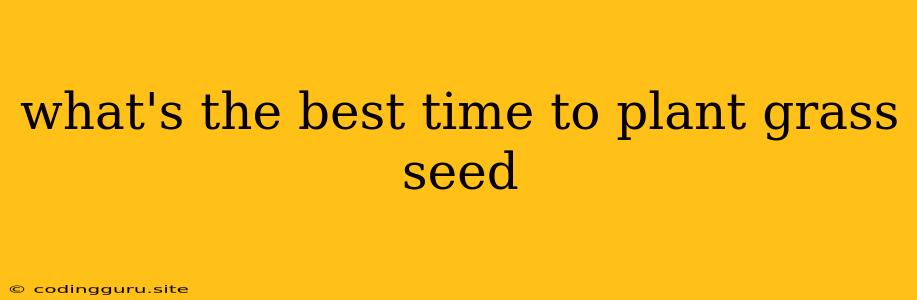 What's The Best Time To Plant Grass Seed