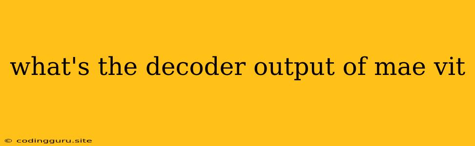 What's The Decoder Output Of Mae Vit