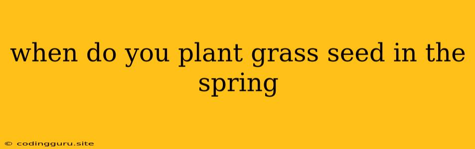 When Do You Plant Grass Seed In The Spring