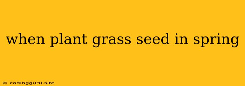 When Plant Grass Seed In Spring