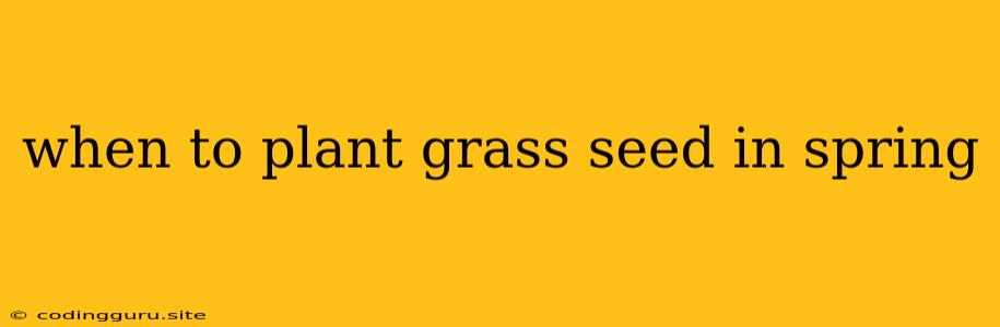 When To Plant Grass Seed In Spring