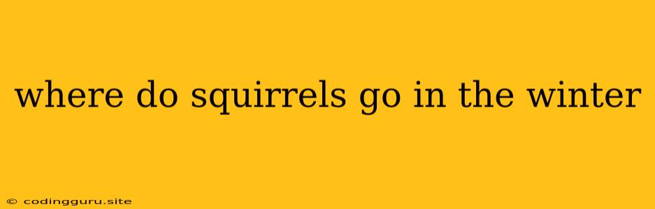 Where Do Squirrels Go In The Winter