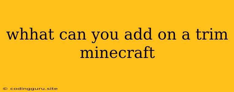 Whhat Can You Add On A Trim Minecraft