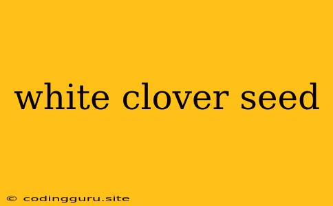 White Clover Seed