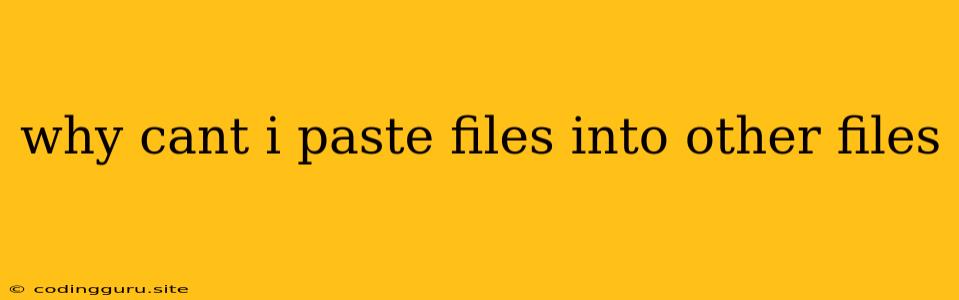 Why Cant I Paste Files Into Other Files