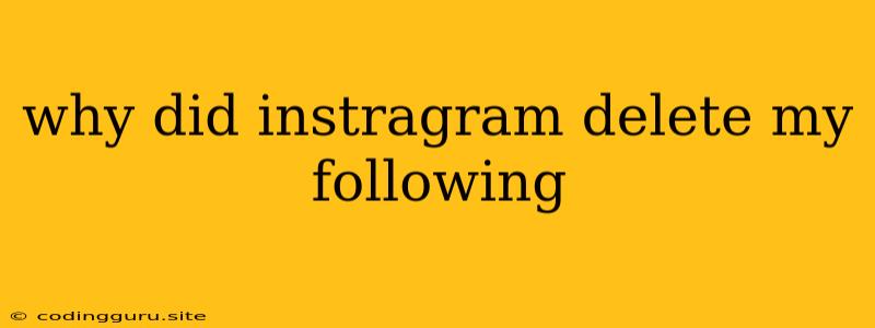 Why Did Instragram Delete My Following