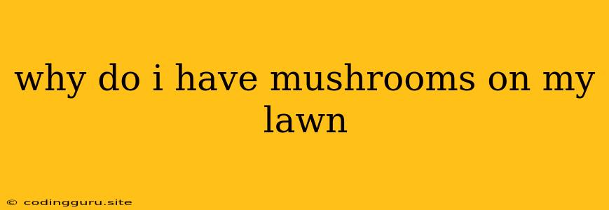 Why Do I Have Mushrooms On My Lawn