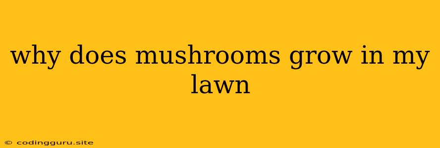 Why Does Mushrooms Grow In My Lawn