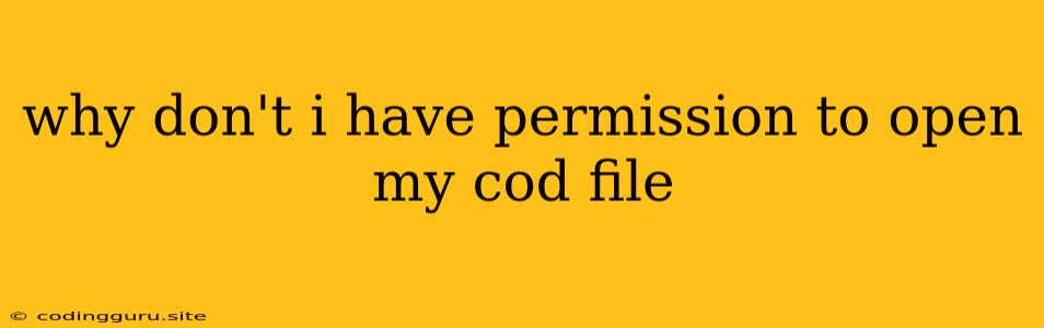 Why Don't I Have Permission To Open My Cod File