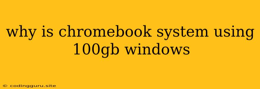 Why Is Chromebook System Using 100gb Windows